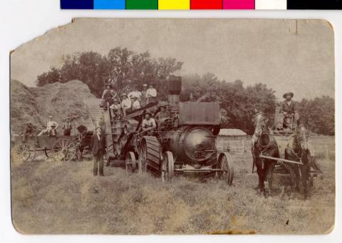 Scherer and Day threshing crew at Quiggle Farm, Amboy, Minnesota