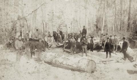 Log skidding at Albertson's Camp, Thomson Township, Carlton County, Minnesota