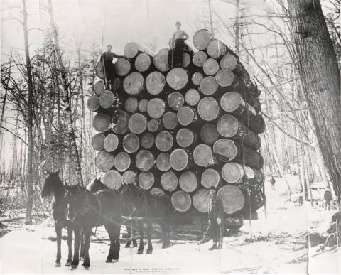 Ann River Logging Company, Kanabec County, Minnesota