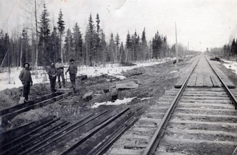 Great Northern Railroad tracks from Thief River Falls to Warroad, Minnesota