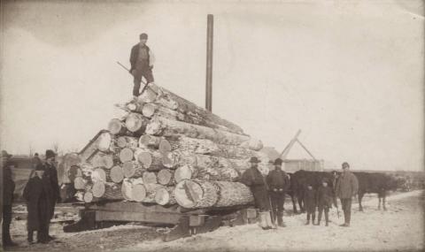 Men standing by oxen-drawn sleigh loaded with timber, Eagle Bend, Minnesota
